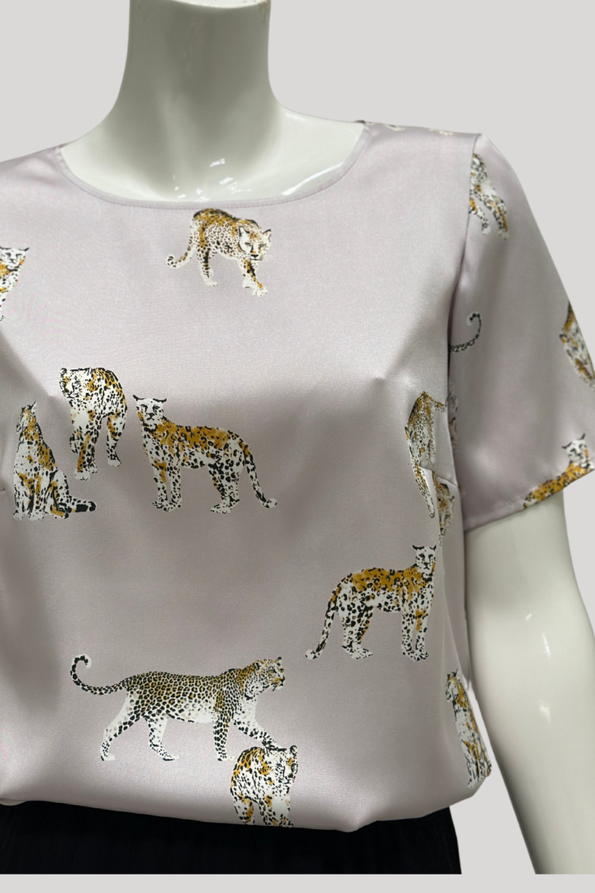 protten_pluus protten_pluus